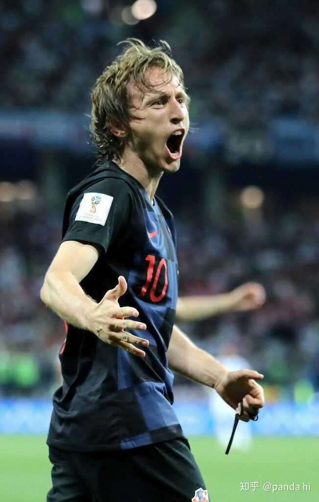 马背上的共生：马术里的优雅与默契